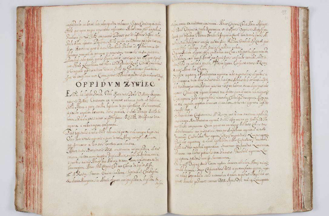 Zdjęcie nr 110 dla obiektu archiwalnego: Liber visitationum a R. D. Joanne Tarnowski, archidiacono Cracoviensi visitatarum ecclesiarum parachialium in decanatibus: Novi Monte, Scavinensi, Zatoriensi, Żiwecensi et Oswiecimensi in annis 1644 - 1647 expeditarum.