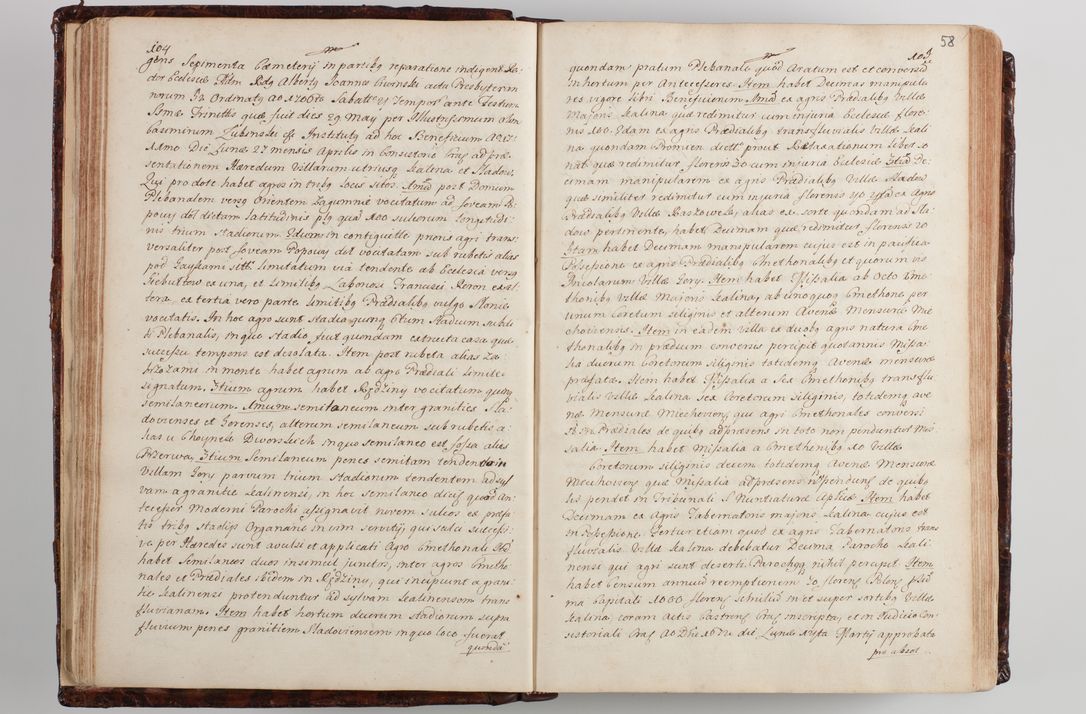 Zdjęcie nr 65 dla obiektu archiwalnego: Wizytacja kanoniczna przeprowadzona w dn. 28 kwietnia 1728 r. przez bpa Michała Kunickiego...