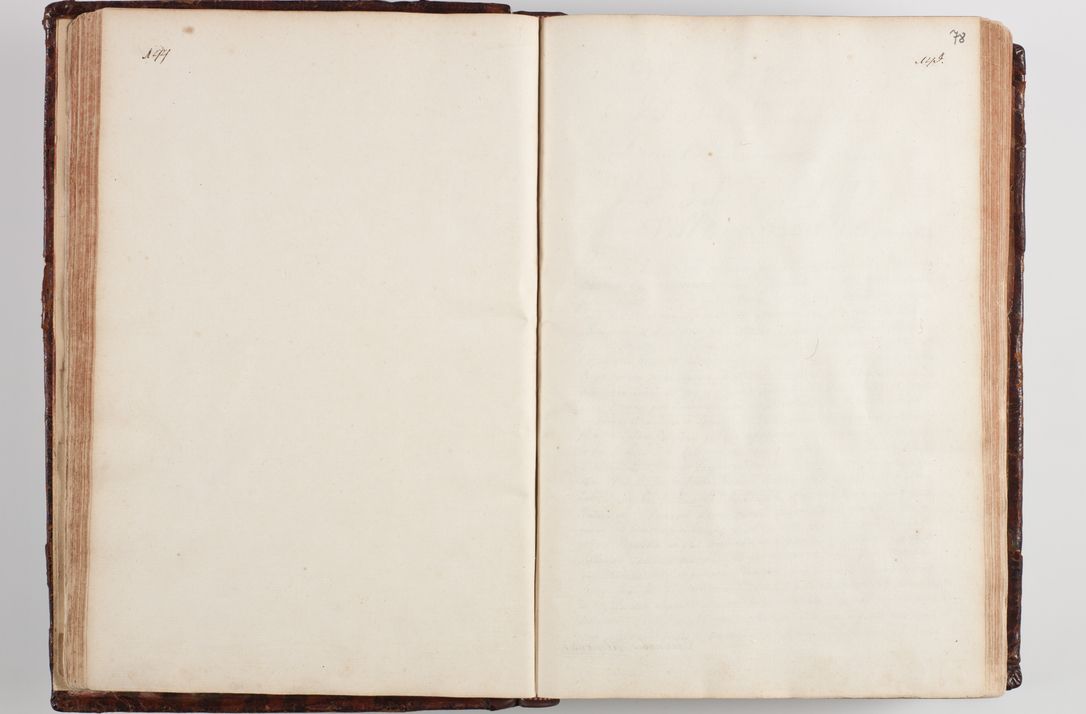 Zdjęcie nr 85 dla obiektu archiwalnego: Wizytacja kanoniczna przeprowadzona w dn. 28 kwietnia 1728 r. przez bpa Michała Kunickiego...