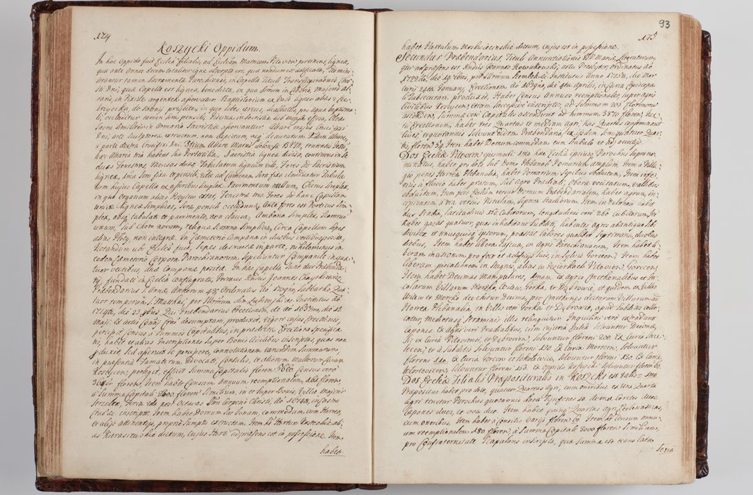 Zdjęcie nr 100 dla obiektu archiwalnego: Wizytacja kanoniczna przeprowadzona w dn. 28 kwietnia 1728 r. przez bpa Michała Kunickiego...