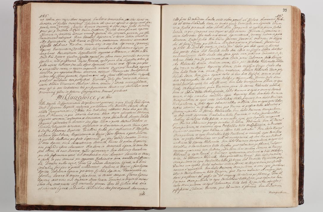 Zdjęcie nr 106 dla obiektu archiwalnego: Wizytacja kanoniczna przeprowadzona w dn. 28 kwietnia 1728 r. przez bpa Michała Kunickiego...