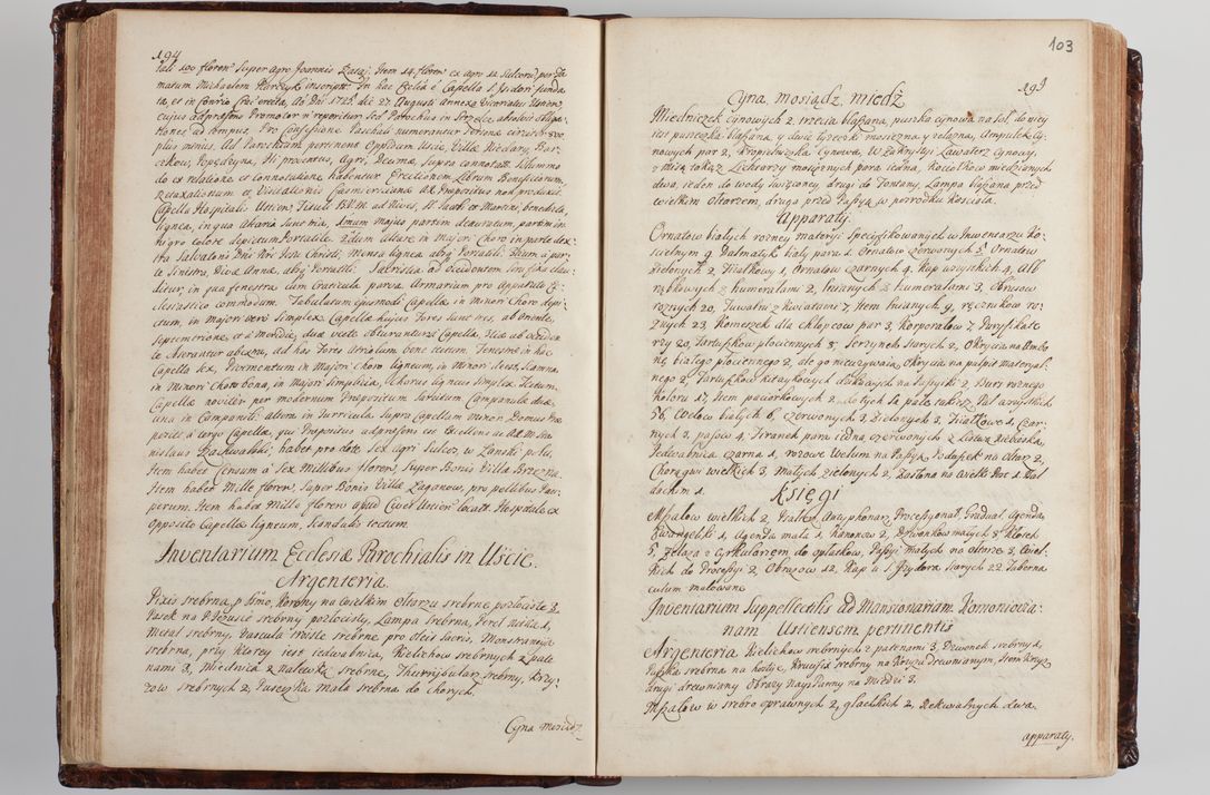 Zdjęcie nr 110 dla obiektu archiwalnego: Wizytacja kanoniczna przeprowadzona w dn. 28 kwietnia 1728 r. przez bpa Michała Kunickiego...