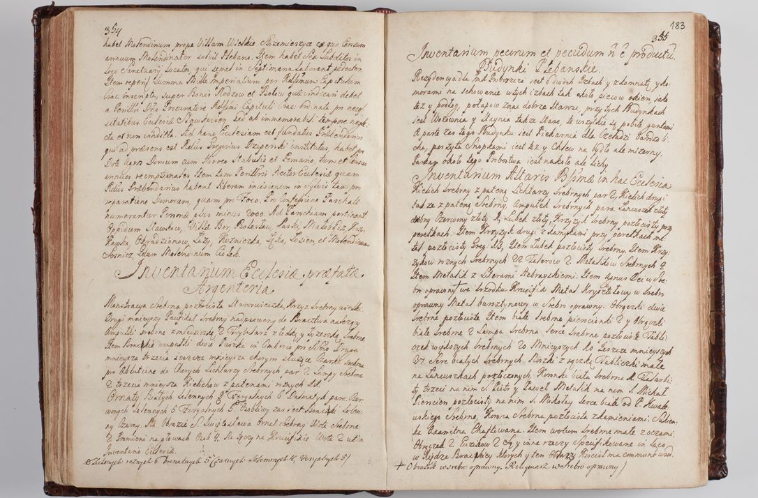 Zdjęcie nr 192 dla obiektu archiwalnego: Wizytacja kanoniczna przeprowadzona w dn. 28 kwietnia 1728 r. przez bpa Michała Kunickiego...