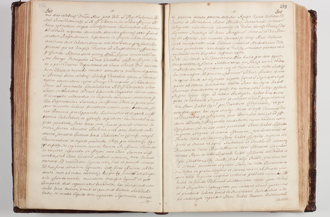 Zdjęcie nr 269 dla obiektu archiwalnego: Wizytacja kanoniczna przeprowadzona w dn. 28 kwietnia 1728 r. przez bpa Michała Kunickiego...