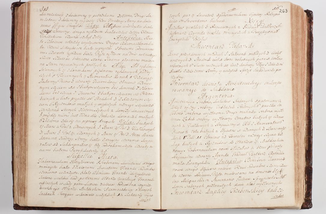 Zdjęcie nr 273 dla obiektu archiwalnego: Wizytacja kanoniczna przeprowadzona w dn. 28 kwietnia 1728 r. przez bpa Michała Kunickiego...