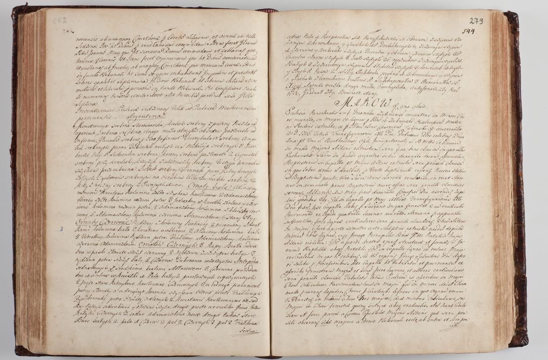 Zdjęcie nr 289 dla obiektu archiwalnego: Wizytacja kanoniczna przeprowadzona w dn. 28 kwietnia 1728 r. przez bpa Michała Kunickiego...