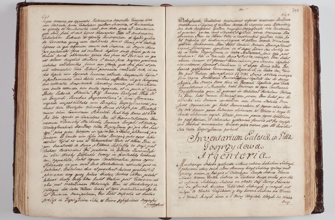 Zdjęcie nr 353 dla obiektu archiwalnego: Wizytacja kanoniczna przeprowadzona w dn. 28 kwietnia 1728 r. przez bpa Michała Kunickiego...