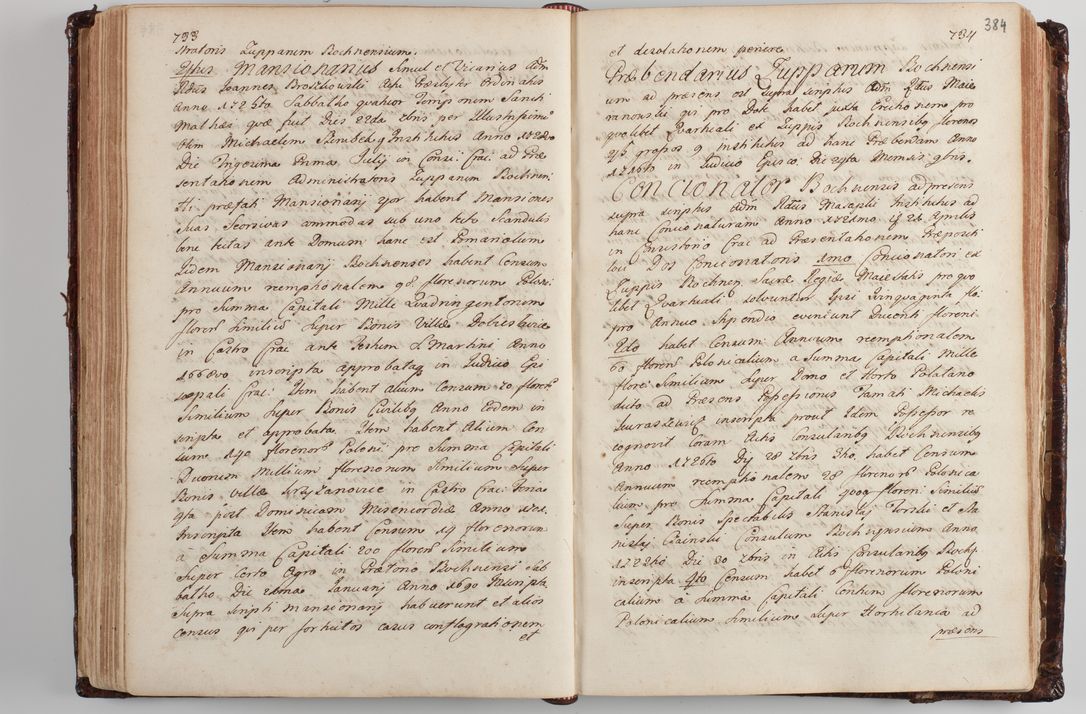 Zdjęcie nr 397 dla obiektu archiwalnego: Wizytacja kanoniczna przeprowadzona w dn. 28 kwietnia 1728 r. przez bpa Michała Kunickiego...