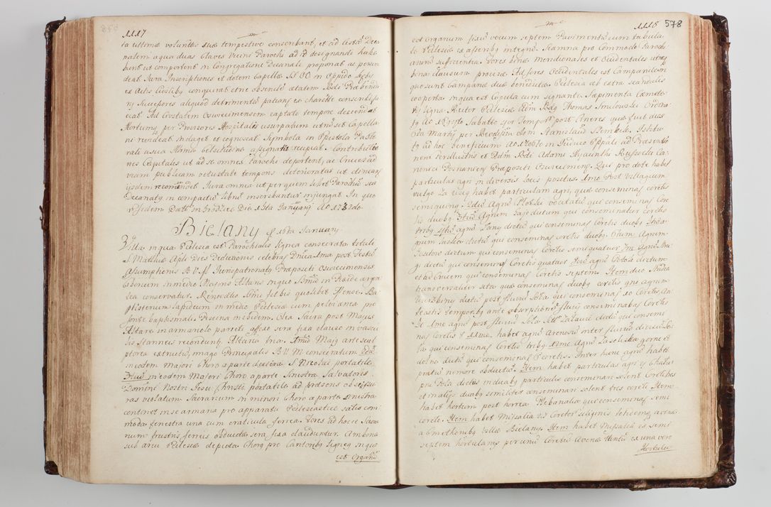 Zdjęcie nr 602 dla obiektu archiwalnego: Wizytacja kanoniczna przeprowadzona w dn. 28 kwietnia 1728 r. przez bpa Michała Kunickiego...