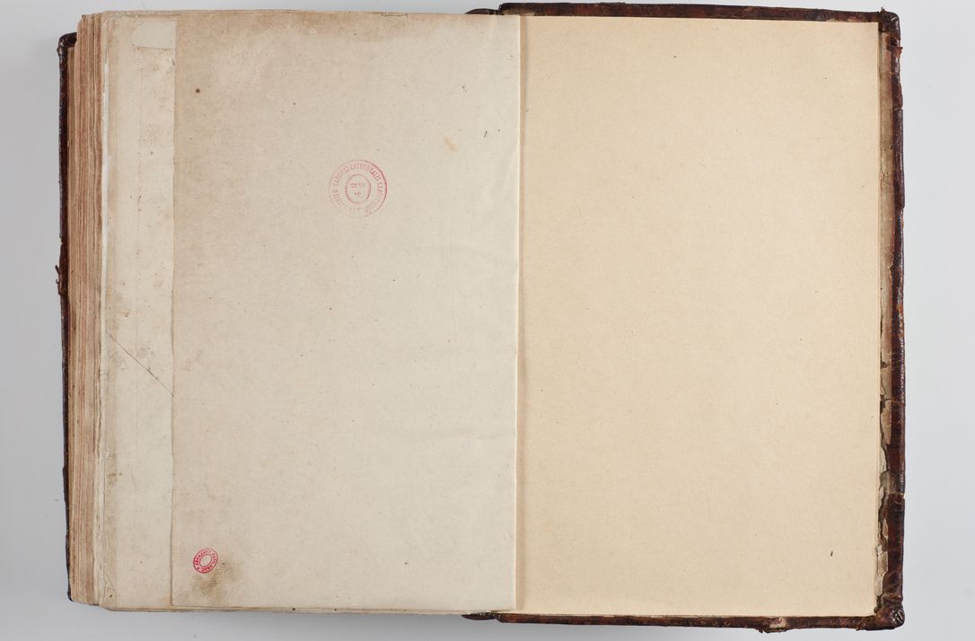 Zdjęcie nr 737 dla obiektu archiwalnego: Wizytacja kanoniczna przeprowadzona w dn. 28 kwietnia 1728 r. przez bpa Michała Kunickiego...