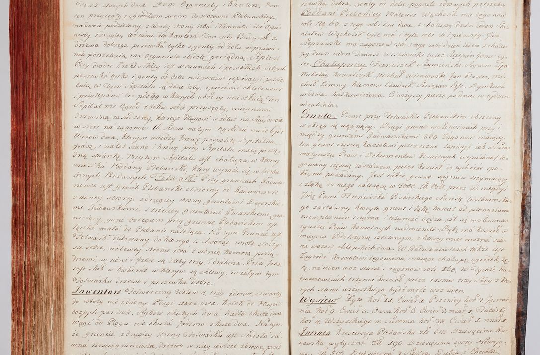 Zdjęcie nr 355 dla obiektu archiwalnego: Protokuł Wizyty Generalney z Dekanatow Skalskiego i Nowogurskiego