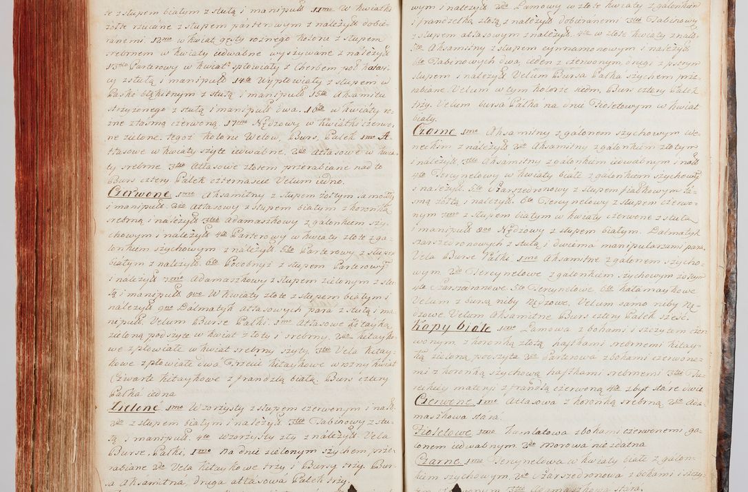 Zdjęcie nr 350 dla obiektu archiwalnego: Protokuł Wizyty Generalney z Dekanatow Skalskiego i Nowogurskiego