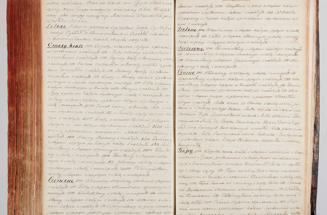 Zdjęcie nr 344 dla obiektu archiwalnego: Protokuł Wizyty Generalney z Dekanatow Skalskiego i Nowogurskiego