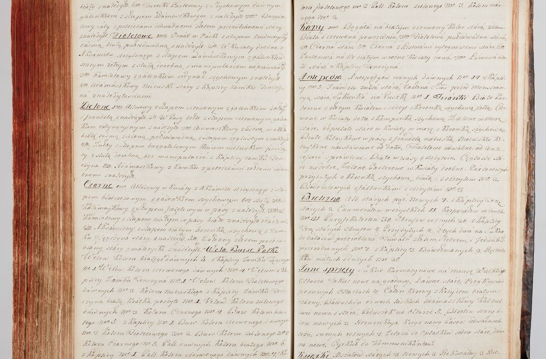 Zdjęcie nr 339 dla obiektu archiwalnego: Protokuł Wizyty Generalney z Dekanatow Skalskiego i Nowogurskiego