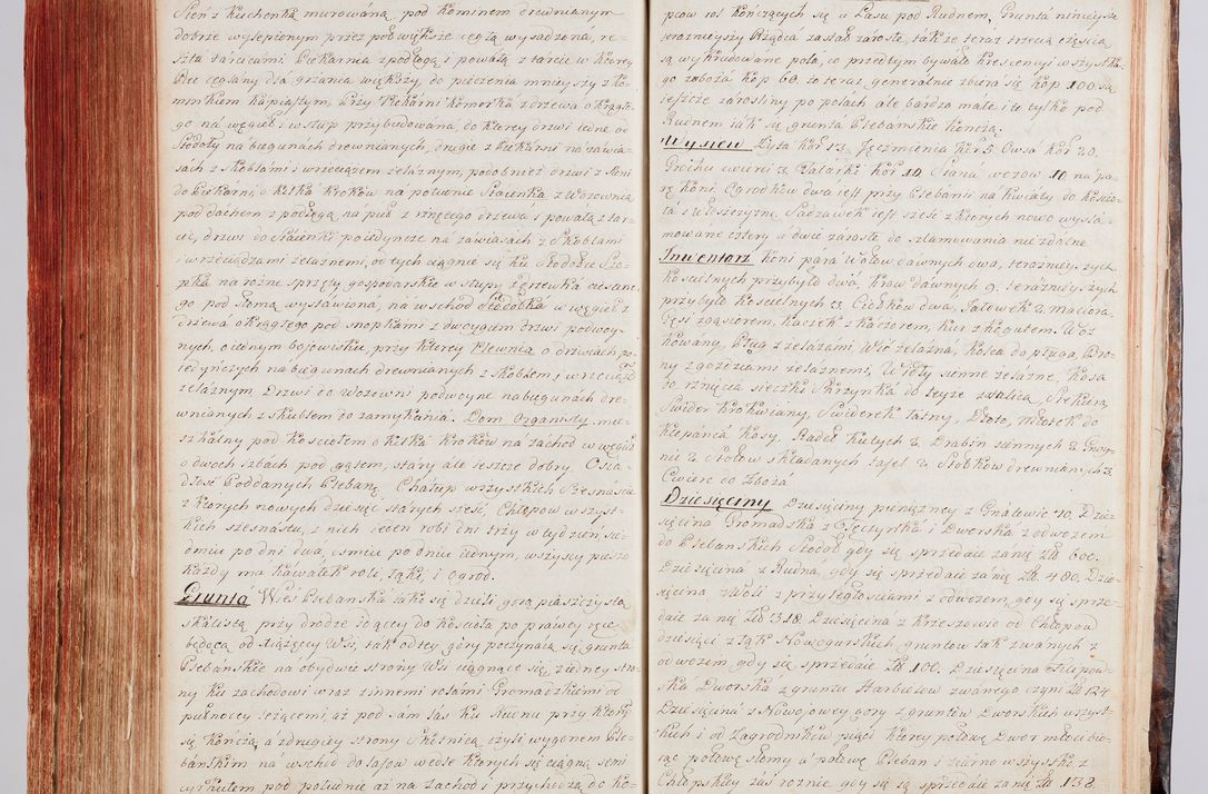 Zdjęcie nr 341 dla obiektu archiwalnego: Protokuł Wizyty Generalney z Dekanatow Skalskiego i Nowogurskiego