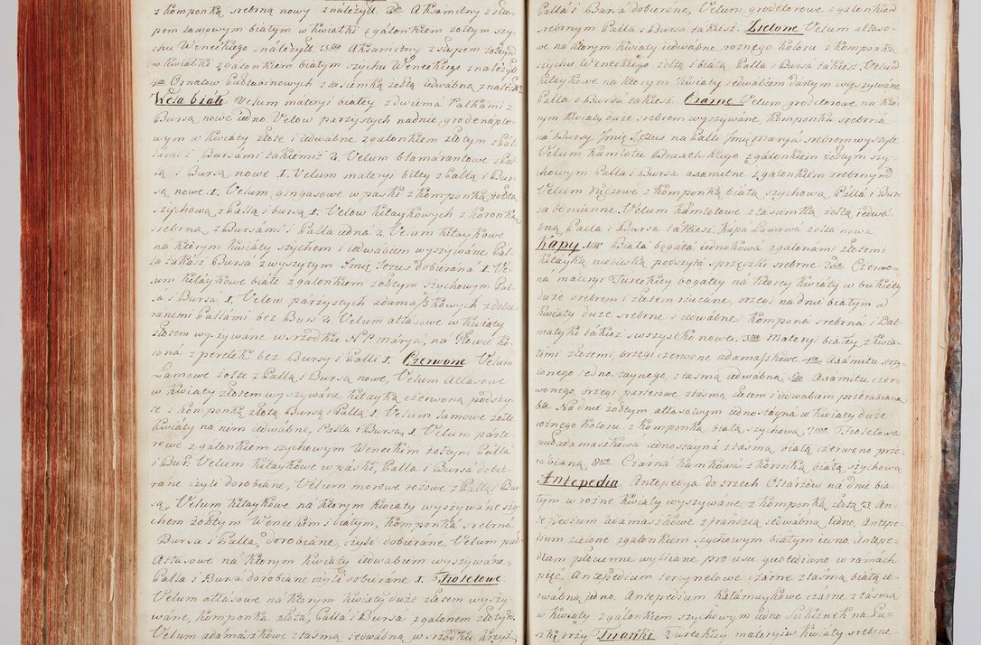 Zdjęcie nr 332 dla obiektu archiwalnego: Protokuł Wizyty Generalney z Dekanatow Skalskiego i Nowogurskiego