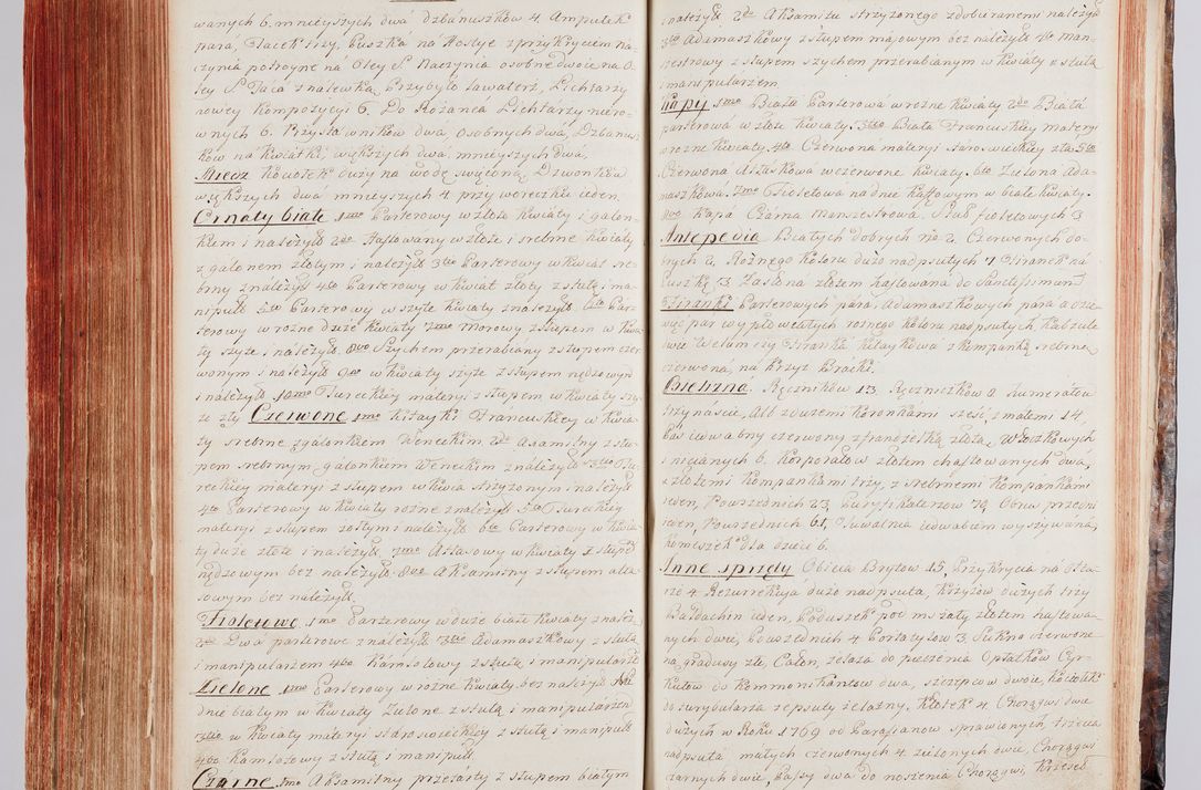 Zdjęcie nr 318 dla obiektu archiwalnego: Protokuł Wizyty Generalney z Dekanatow Skalskiego i Nowogurskiego