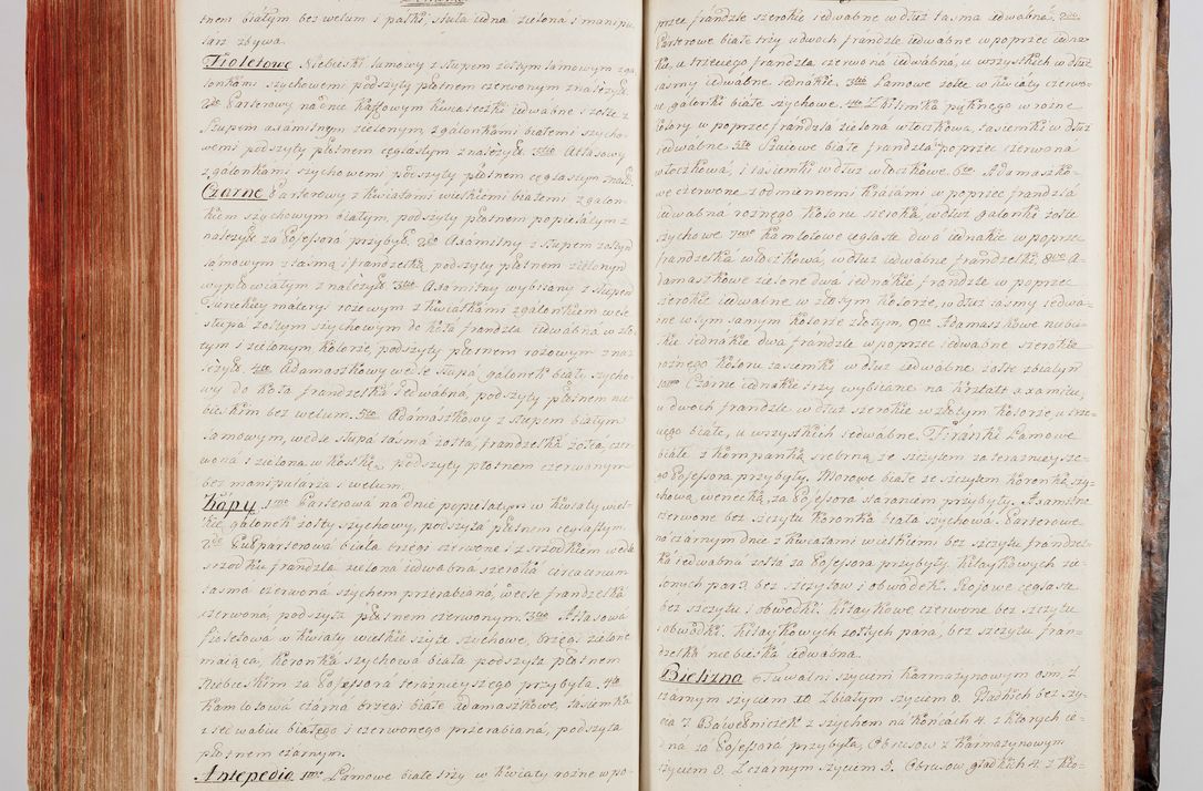 Zdjęcie nr 312 dla obiektu archiwalnego: Protokuł Wizyty Generalney z Dekanatow Skalskiego i Nowogurskiego