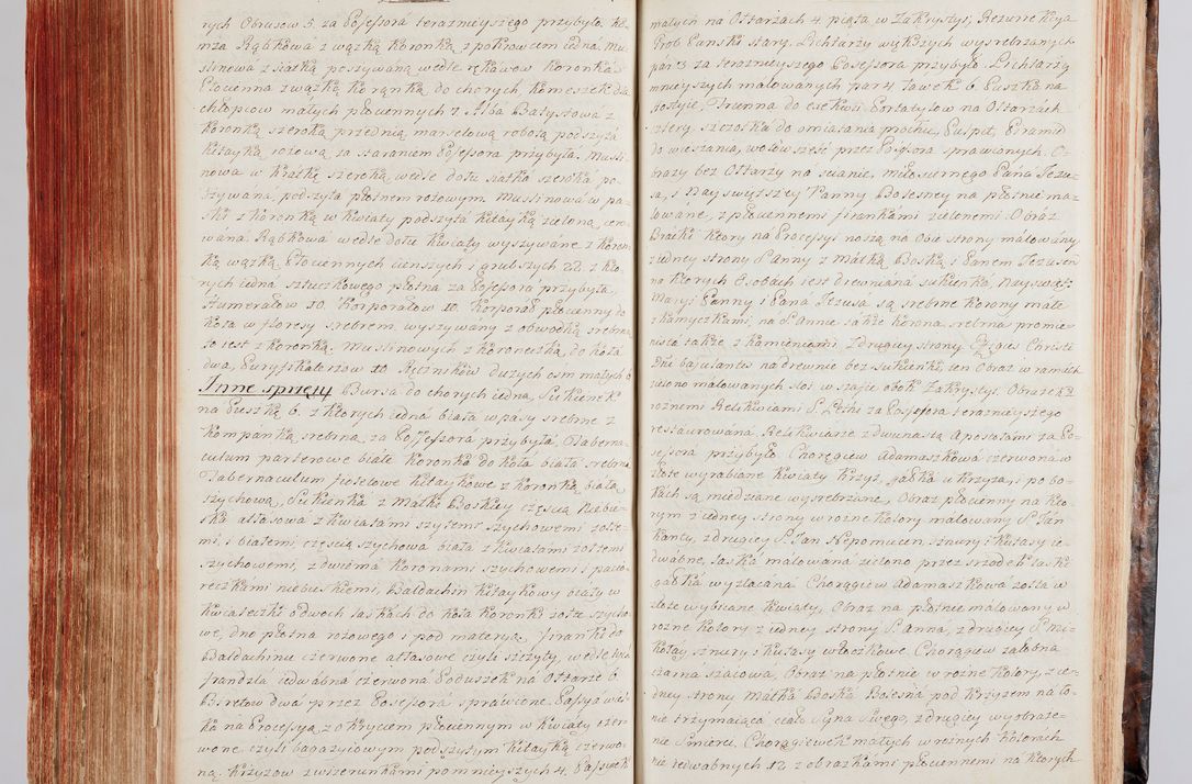 Zdjęcie nr 313 dla obiektu archiwalnego: Protokuł Wizyty Generalney z Dekanatow Skalskiego i Nowogurskiego