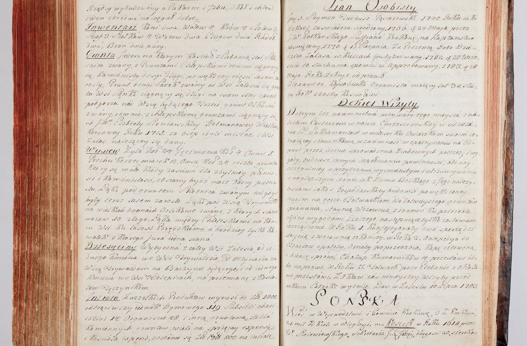 Zdjęcie nr 307 dla obiektu archiwalnego: Protokuł Wizyty Generalney z Dekanatow Skalskiego i Nowogurskiego