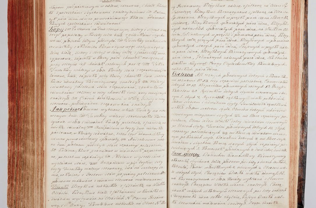 Zdjęcie nr 300 dla obiektu archiwalnego: Protokuł Wizyty Generalney z Dekanatow Skalskiego i Nowogurskiego