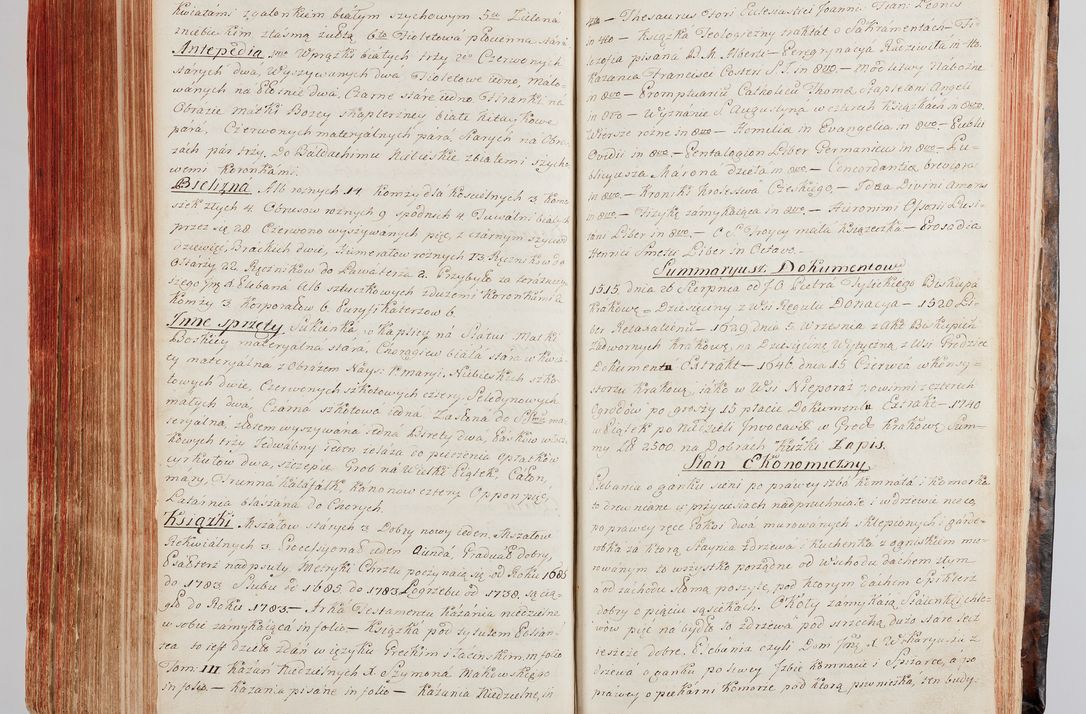 Zdjęcie nr 295 dla obiektu archiwalnego: Protokuł Wizyty Generalney z Dekanatow Skalskiego i Nowogurskiego