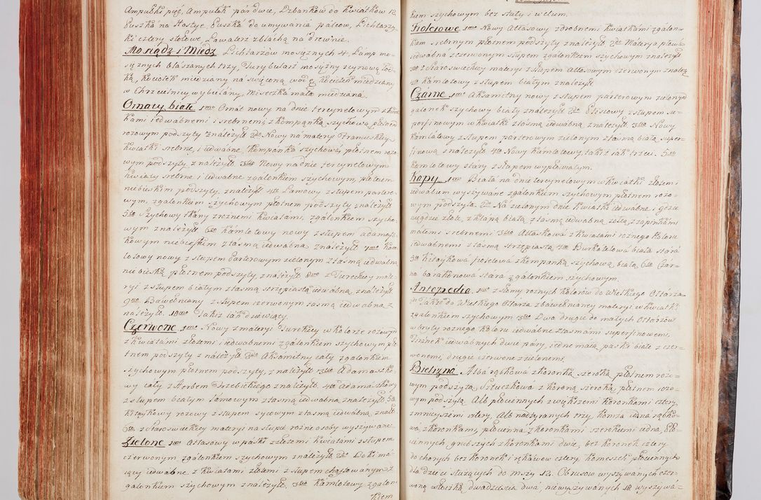 Zdjęcie nr 286 dla obiektu archiwalnego: Protokuł Wizyty Generalney z Dekanatow Skalskiego i Nowogurskiego