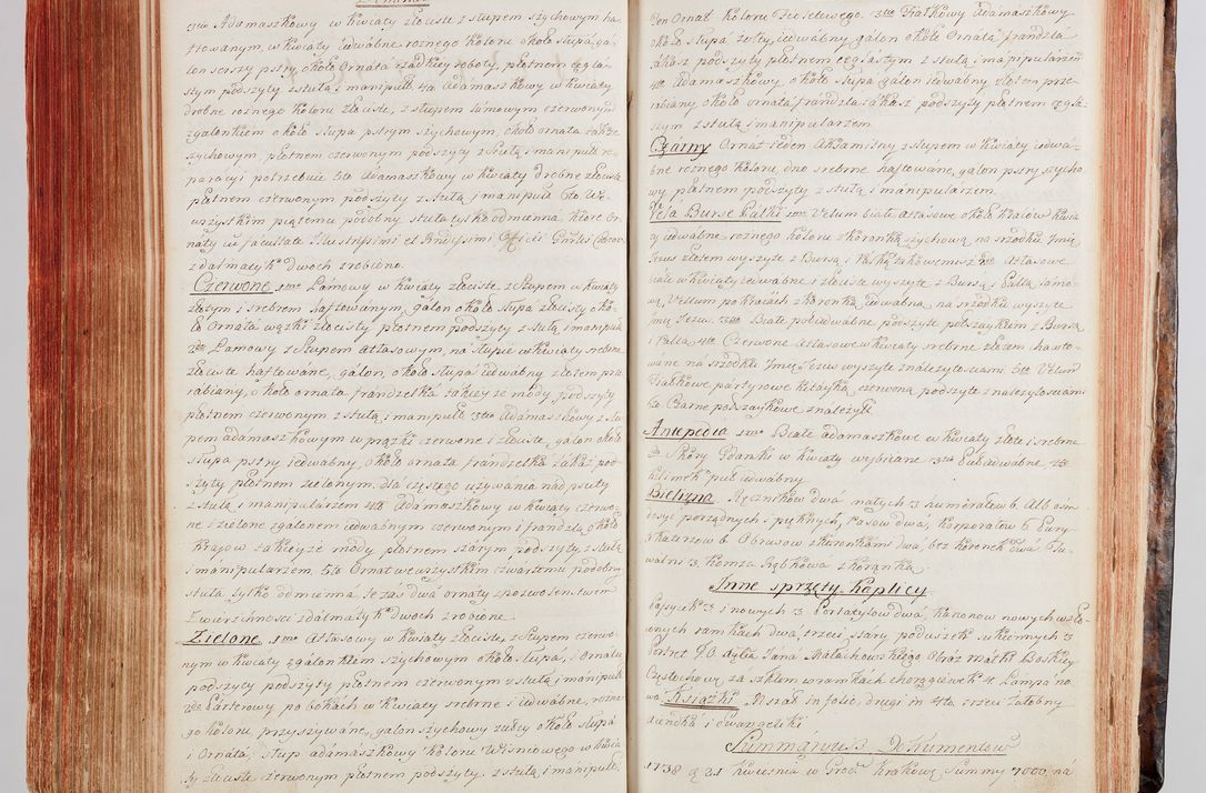 Zdjęcie nr 263 dla obiektu archiwalnego: Protokuł Wizyty Generalney z Dekanatow Skalskiego i Nowogurskiego