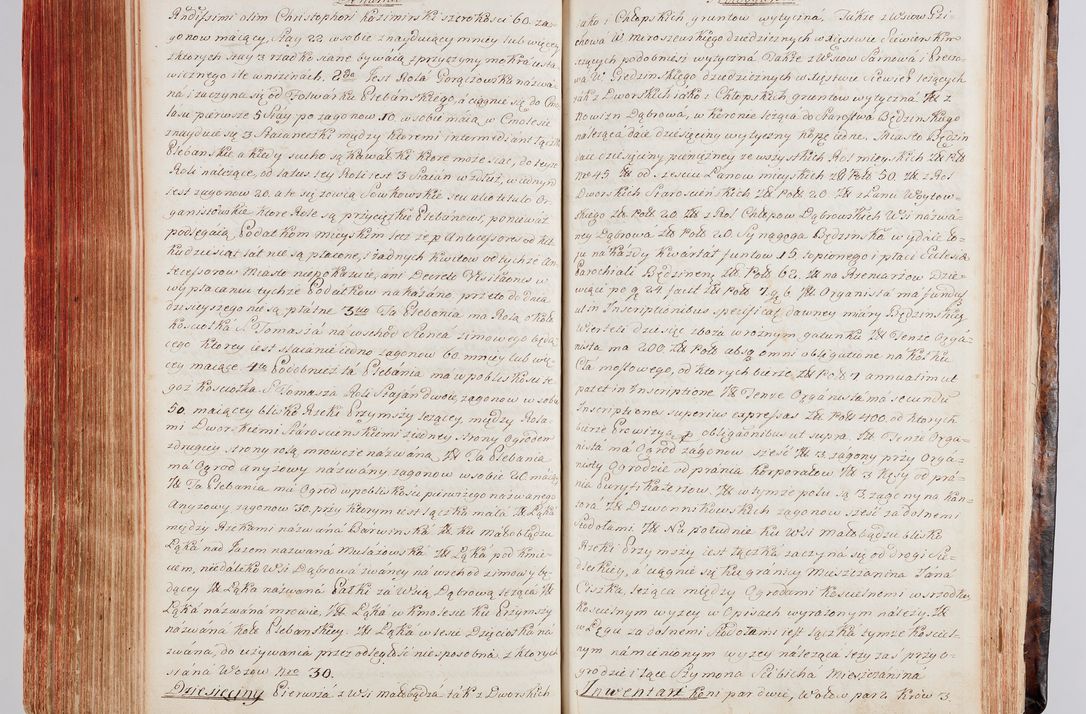 Zdjęcie nr 257 dla obiektu archiwalnego: Protokuł Wizyty Generalney z Dekanatow Skalskiego i Nowogurskiego