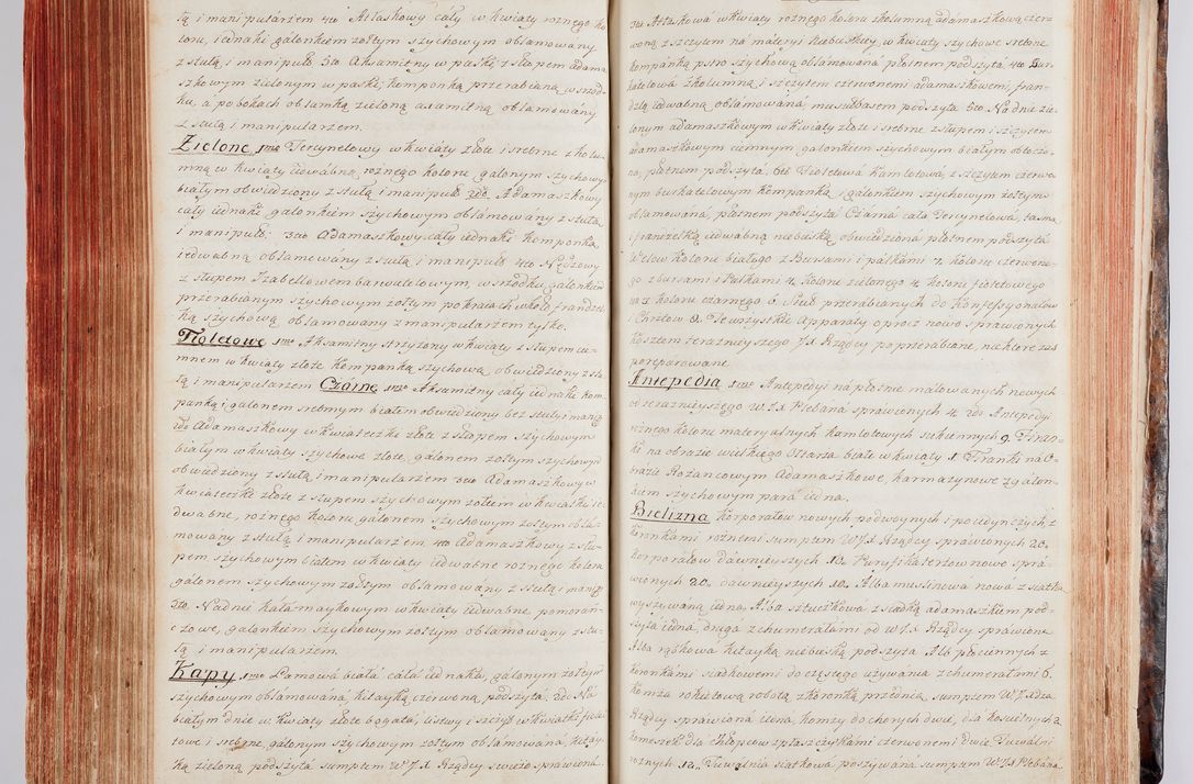 Zdjęcie nr 226 dla obiektu archiwalnego: Protokuł Wizyty Generalney z Dekanatow Skalskiego i Nowogurskiego