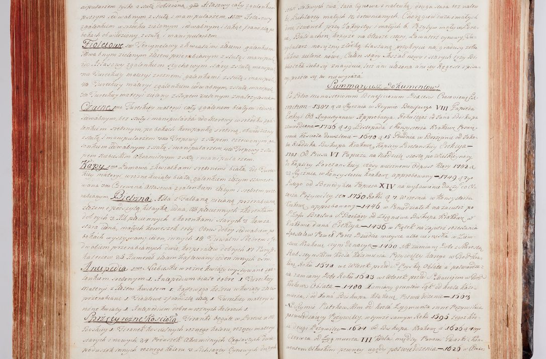 Zdjęcie nr 220 dla obiektu archiwalnego: Protokuł Wizyty Generalney z Dekanatow Skalskiego i Nowogurskiego