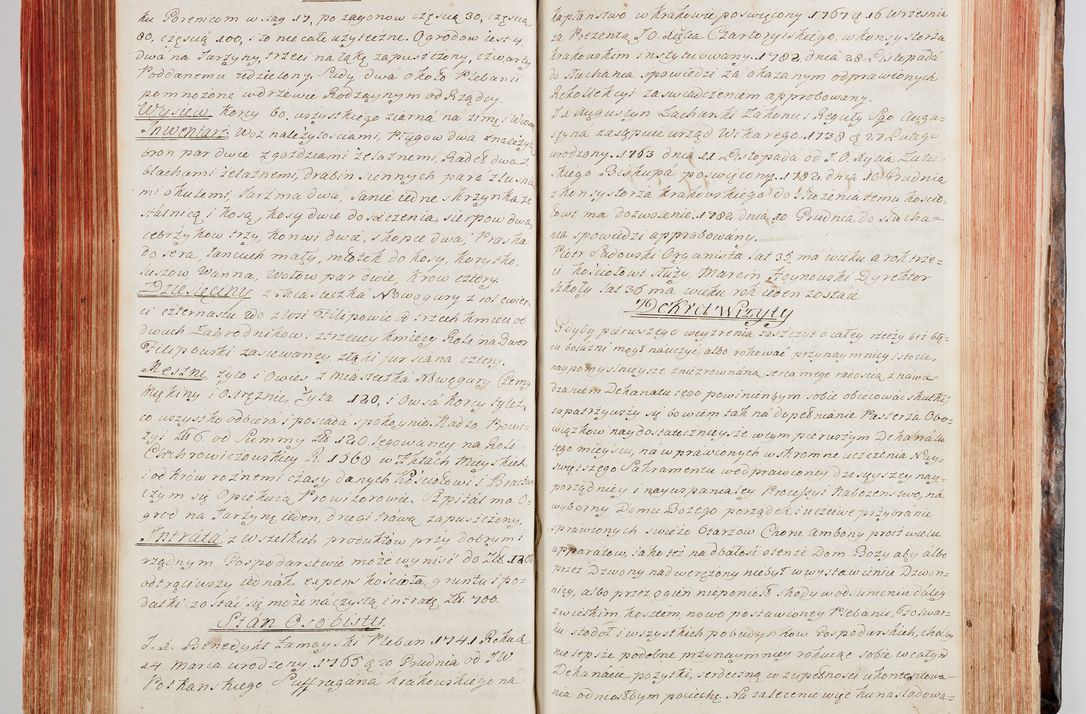 Zdjęcie nr 183 dla obiektu archiwalnego: Protokuł Wizyty Generalney z Dekanatow Skalskiego i Nowogurskiego