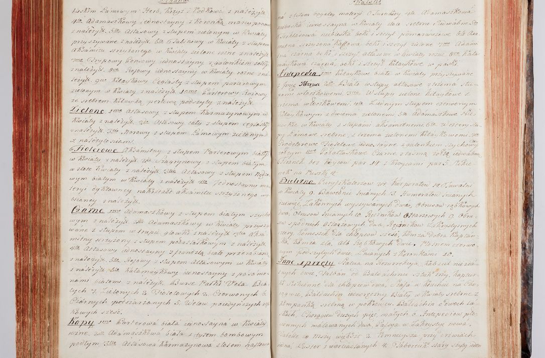 Zdjęcie nr 173 dla obiektu archiwalnego: Protokuł Wizyty Generalney z Dekanatow Skalskiego i Nowogurskiego