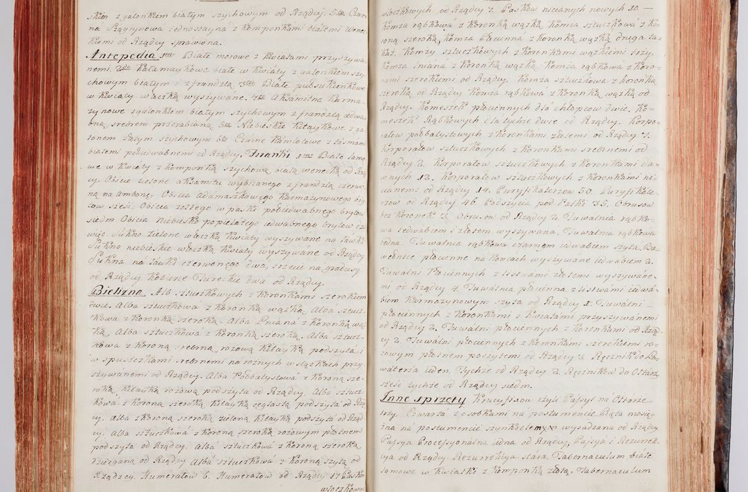 Zdjęcie nr 154 dla obiektu archiwalnego: Protokuł Wizyty Generalney z Dekanatow Skalskiego i Nowogurskiego