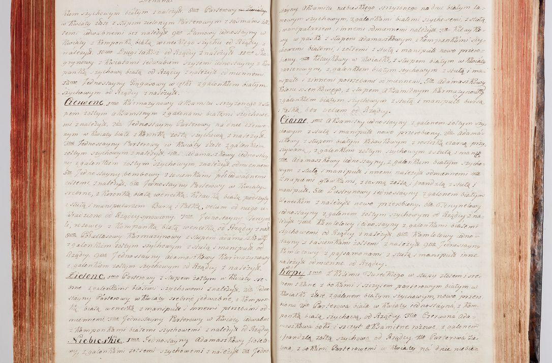 Zdjęcie nr 153 dla obiektu archiwalnego: Protokuł Wizyty Generalney z Dekanatow Skalskiego i Nowogurskiego