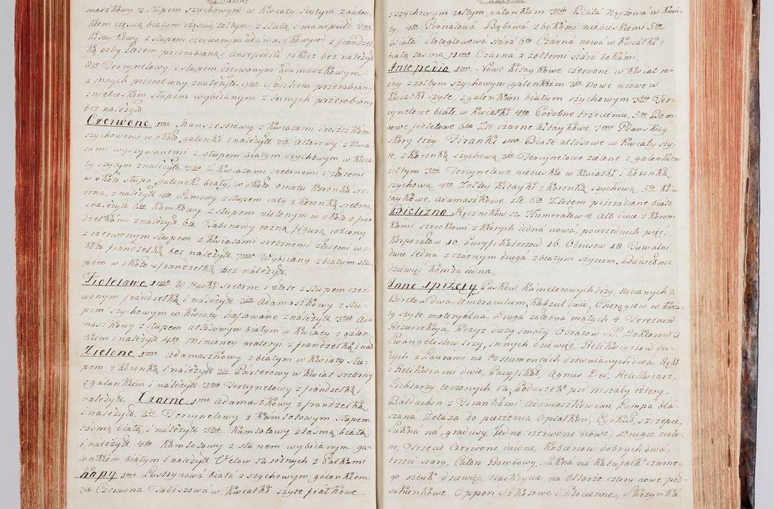 Zdjęcie nr 121 dla obiektu archiwalnego: Protokuł Wizyty Generalney z Dekanatow Skalskiego i Nowogurskiego