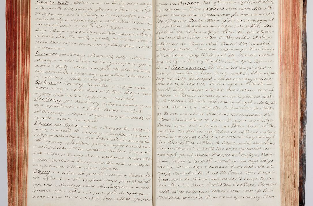 Zdjęcie nr 114 dla obiektu archiwalnego: Protokuł Wizyty Generalney z Dekanatow Skalskiego i Nowogurskiego