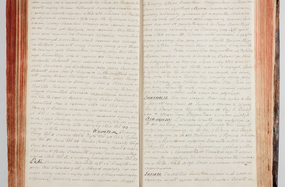 Zdjęcie nr 111 dla obiektu archiwalnego: Protokuł Wizyty Generalney z Dekanatow Skalskiego i Nowogurskiego