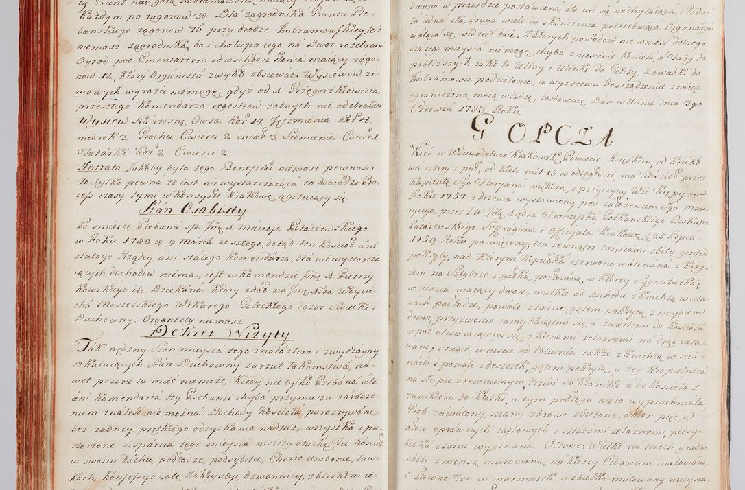 Zdjęcie nr 89 dla obiektu archiwalnego: Protokuł Wizyty Generalney z Dekanatow Skalskiego i Nowogurskiego