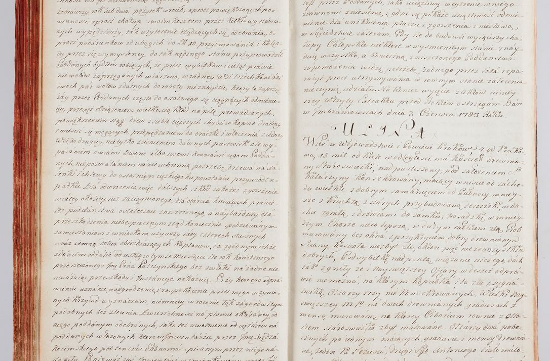 Zdjęcie nr 86 dla obiektu archiwalnego: Protokuł Wizyty Generalney z Dekanatow Skalskiego i Nowogurskiego