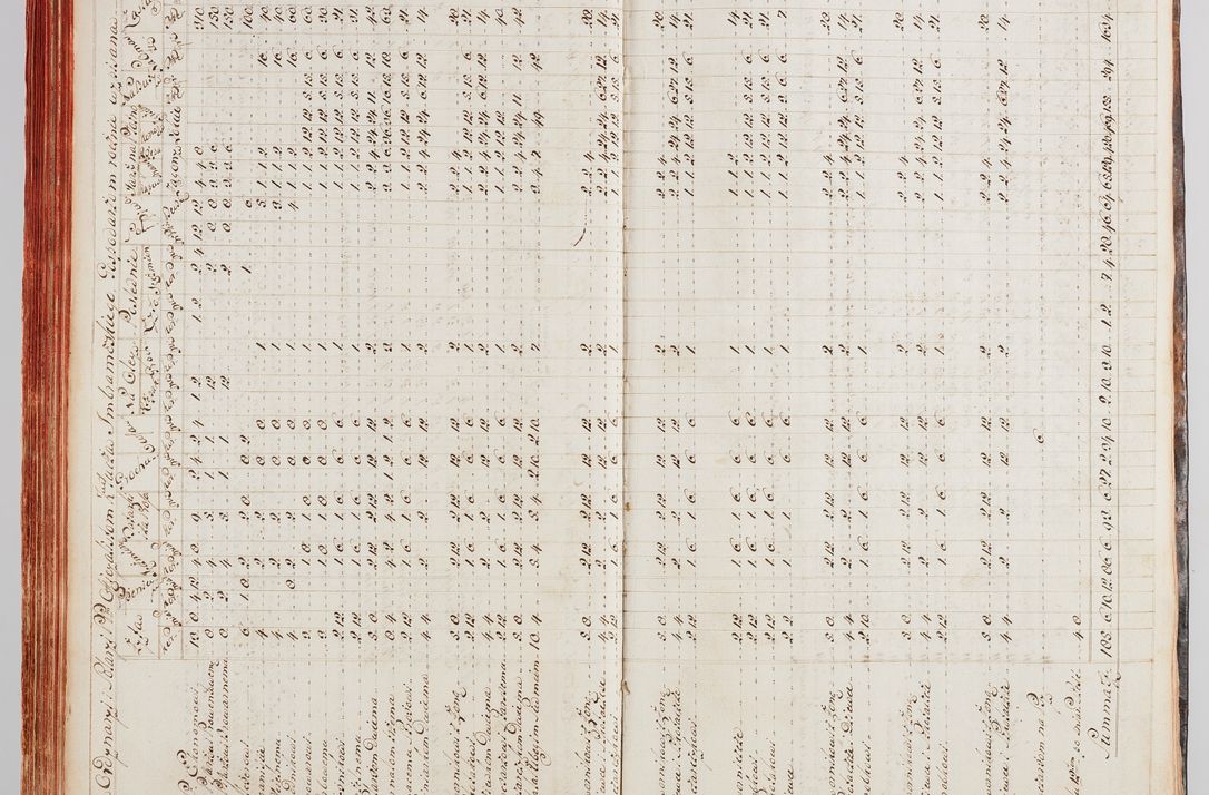 Zdjęcie nr 81 dla obiektu archiwalnego: Protokuł Wizyty Generalney z Dekanatow Skalskiego i Nowogurskiego