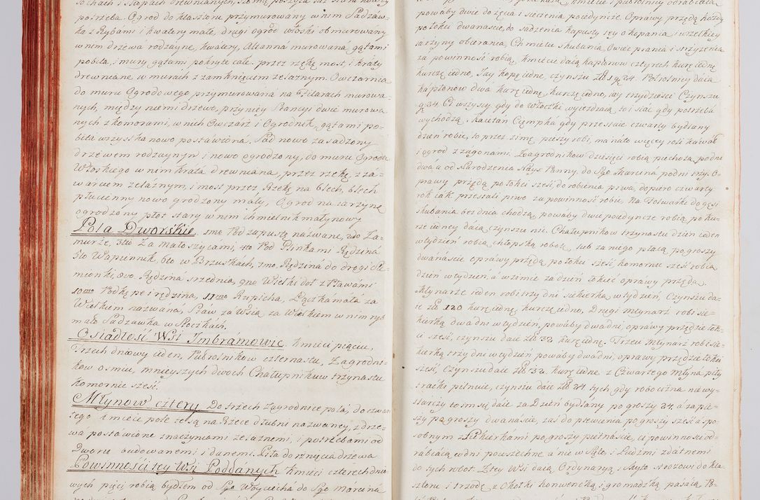 Zdjęcie nr 76 dla obiektu archiwalnego: Protokuł Wizyty Generalney z Dekanatow Skalskiego i Nowogurskiego