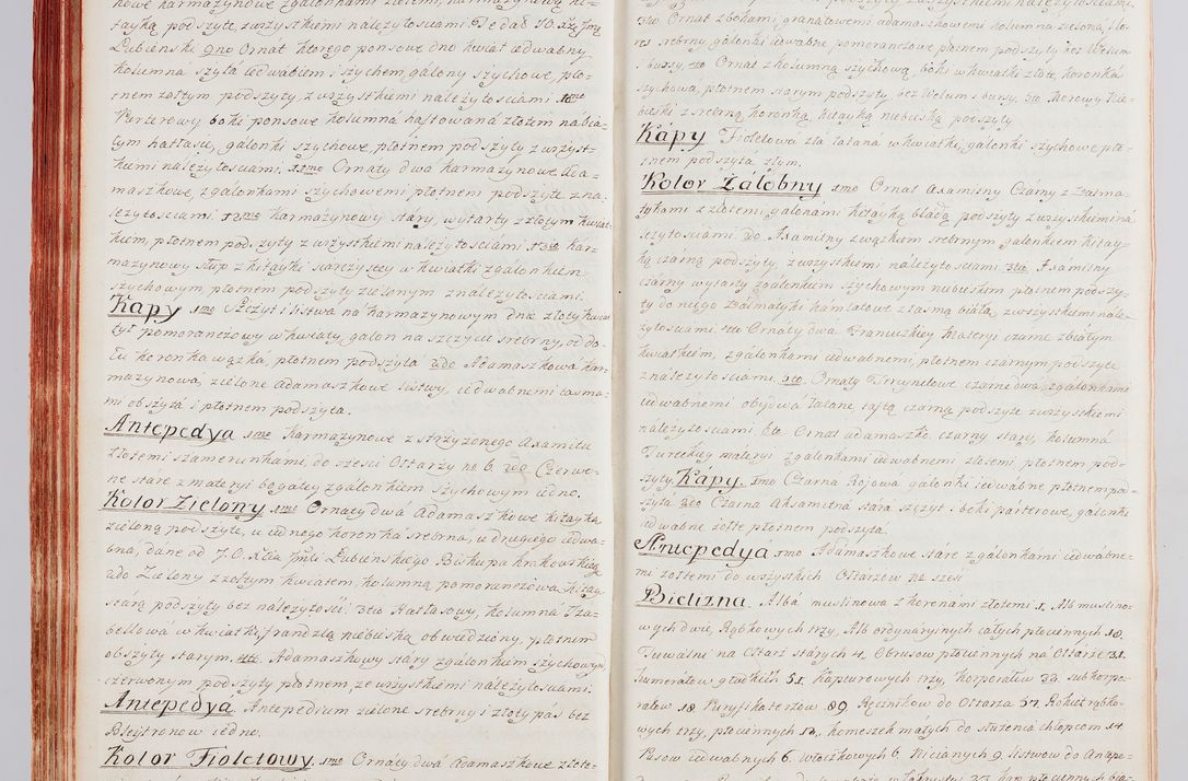 Zdjęcie nr 68 dla obiektu archiwalnego: Protokuł Wizyty Generalney z Dekanatow Skalskiego i Nowogurskiego