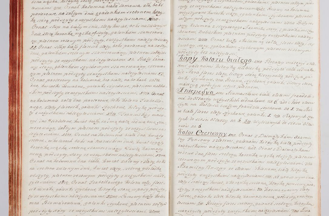 Zdjęcie nr 67 dla obiektu archiwalnego: Protokuł Wizyty Generalney z Dekanatow Skalskiego i Nowogurskiego