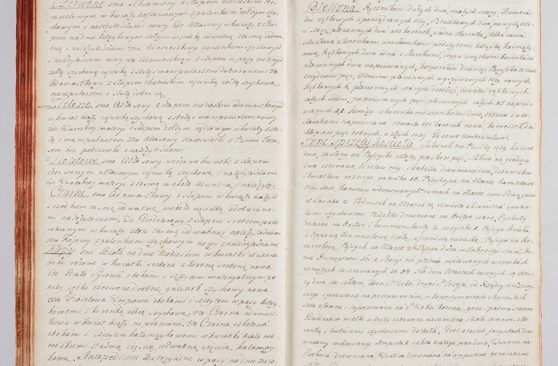 Zdjęcie nr 59 dla obiektu archiwalnego: Protokuł Wizyty Generalney z Dekanatow Skalskiego i Nowogurskiego