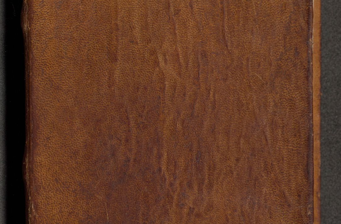 Zdjęcie nr 1 dla obiektu archiwalnego: [Acta actorum officialia coram Michaele scolastico Gnezensi]