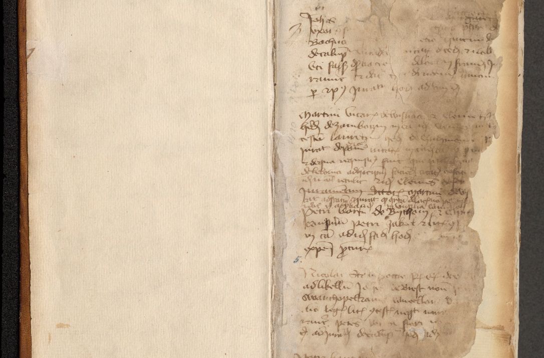 Zdjęcie nr 4 dla obiektu archiwalnego: [Acta actorum officialia coram Michaele scolastico Gnezensi]