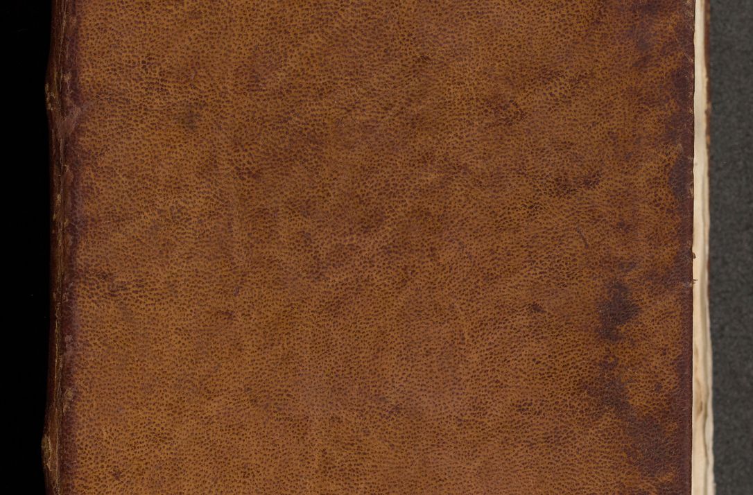 Zdjęcie nr 2 dla obiektu archiwalnego: [Acta actorum officialia coram Michaele scolastico Gnezensi]