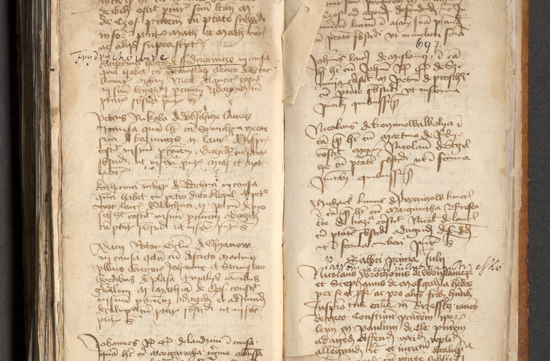 Zdjęcie nr 350 dla obiektu archiwalnego: [Acta actorum officialia coram Michaele scolastico Gnezensi]