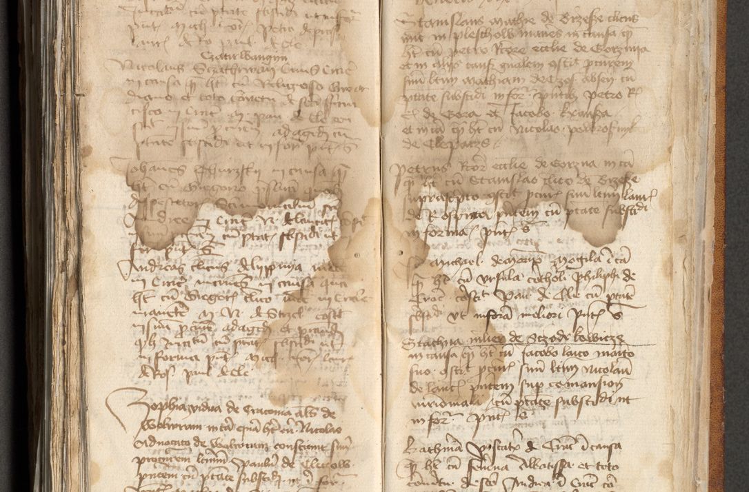 Zdjęcie nr 339 dla obiektu archiwalnego: [Acta actorum officialia coram Michaele scolastico Gnezensi]